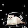 Космическая Капсула Кошачье Гнездо Прозрачный DIY Материал Прозрачная Кошачья Лестница Акриловый Купол Защита от Пыли Кошачий Дом Товары для Животных Продукты