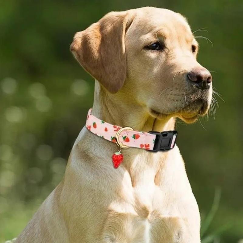 Коллекция фруктовых узоров Ошейник для питомца Собачий ошейник с милым принтом клубники Мягкий удобный ошейник-ожерелье для собаки для ежедневных прогулок Регулируемый кошачий ошейник