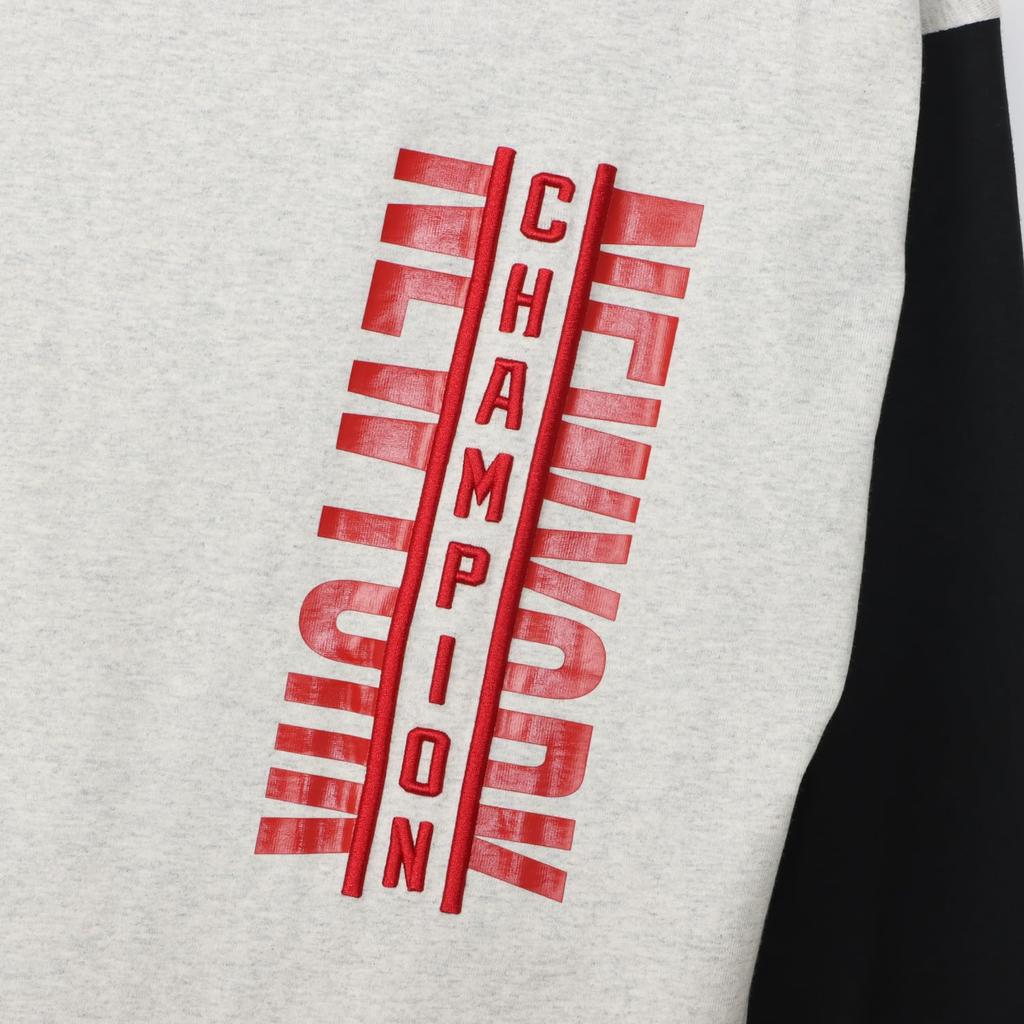 Футболка с длинным рукавом и круглым вырезом из хлопка, США, RelaxFit, вышитый логотип, резиновый принт, длинный рукав, в стиле экшн, овсянка [Champion], 100%