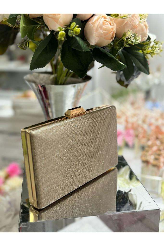 Women's Stylish and Useful Evening Dress Bag Evening Dress Bag Gold Color