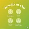 GE Refresh LED Light Bulbs, 40 Watt, Daylight, G16.5 Globe Bulbs, Small Base (2 Pack)