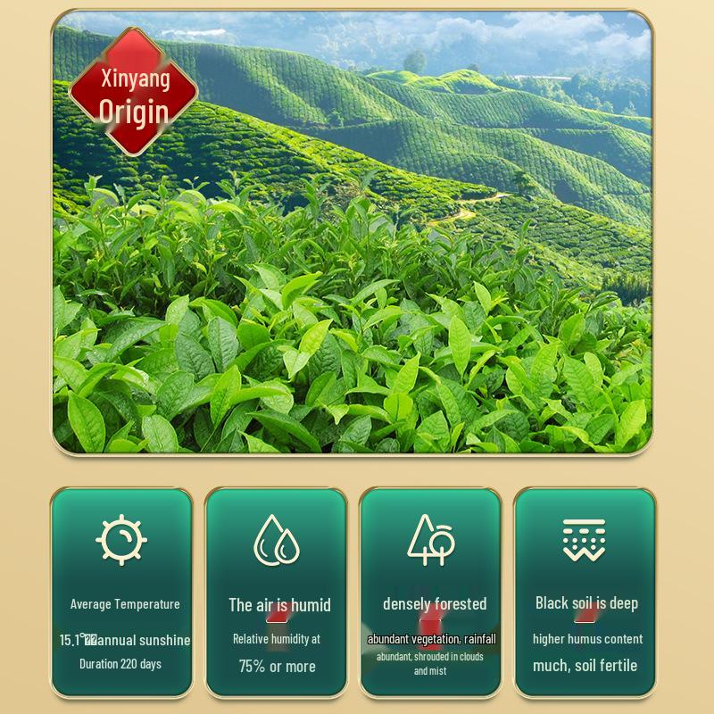 Синьян Маоцзянь Весенний Хвост Ручной Работы Зеленый Чай Подарочная Коробка - Чистые Почки