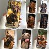 Чехол с таксой для Samsung Galaxy A54 A53 A34 A33 A13 A23 A31 A51 A71 A12 A22 A32 A52 A50 A52S