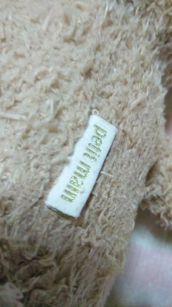 [USED] Teddy Bear