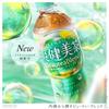 Japanese Product Coca-Cola Sokenbicha Tea 600ml PET Bottles