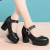 Women's High Heel Shoes Shallow Thick Bottom Platform Pumps Women Shoes 2024 Block High Heels Shoes for Office Party Wedding