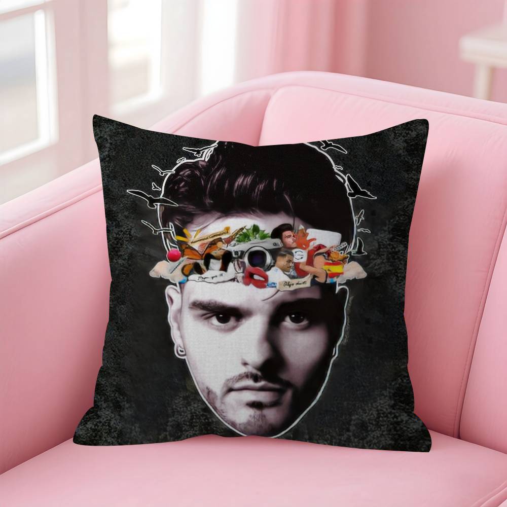 Singer Abraham Mateo Decorative Room Aesthetics Pillow Case Home Decor Bedroom Sofa Bed Couch Pillow Cover 45x45