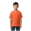 Gildan Childrens/Kids Softstyle Midweight T-Shirt