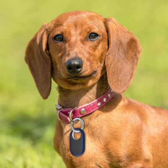 Yousheng Tracker Protective Case Durable Scratch-Resistant Pet Tracker Silicone Cover with Key Ring for SmartTag2