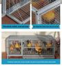 Large, Rat-Proof, Weasel-Proof Outdoor Cage for Chickens, Pigeons, or Rabbits