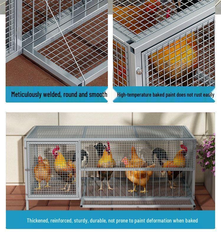Large, Rat-Proof, Weasel-Proof Outdoor Cage for Chickens, Pigeons, or Rabbits