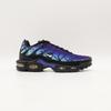 FV0393-001 Nike Air Max Plus 25-летие (Мужской)