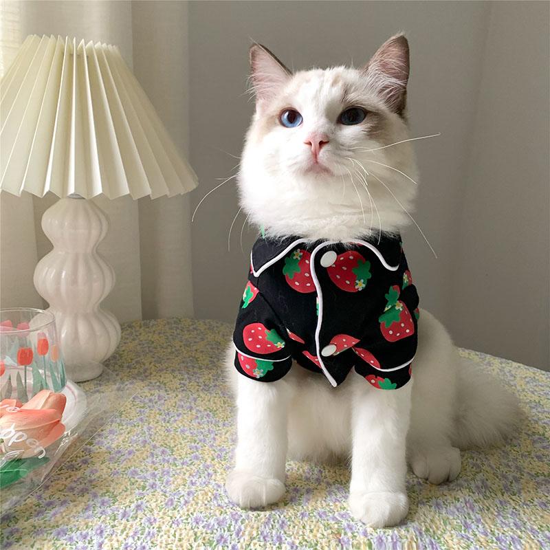 Весенний костюм кота, милая и уютная одежда для домашних животных, толстовка с капюшоном Katten Kedi, толстовка с капюшоном Gato, свитер для кошек, одежда для домашних животных, наряд