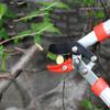 Long Length Scissor Hedge Anvil Shear Anti-Slip Grip Garden Pruning Hand Tool Ratchet Cut Tree Branch Garden Tools