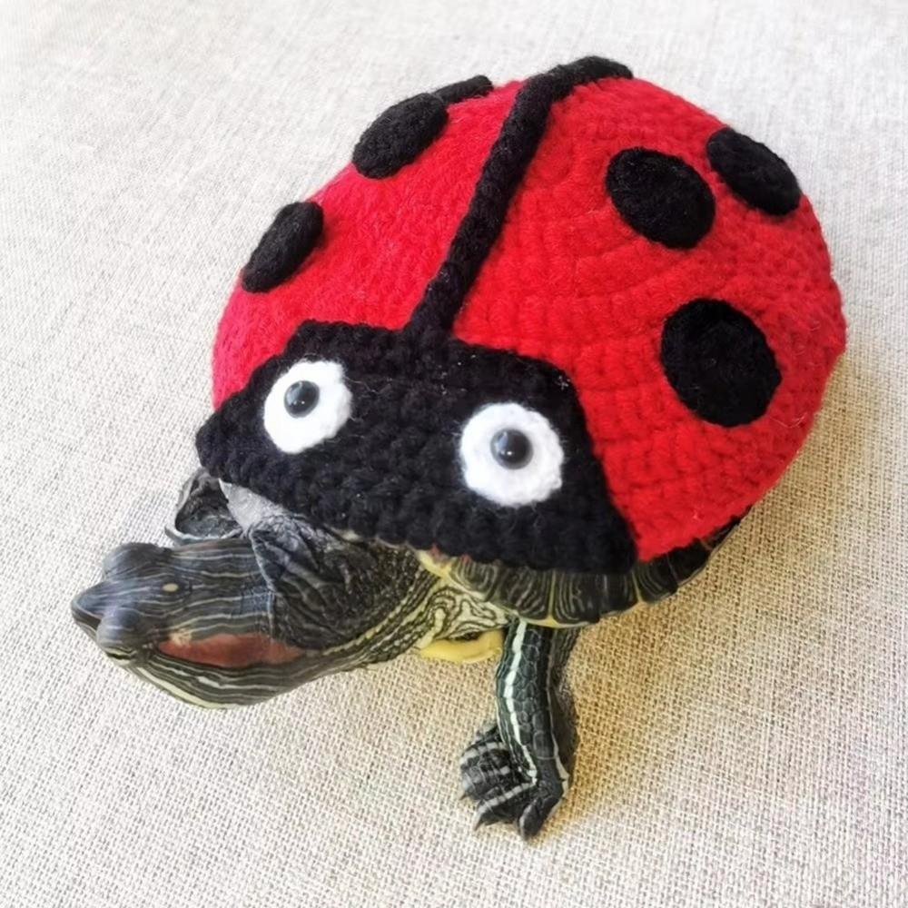 Frog Turtle Sweater Knitted Pet Turtle Outfit Fashion Pet Tortoise Clothes Pet Costume