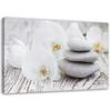 Canvas Print, White Orchid and Stones