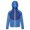 Regatta Childrens/Kids Kielder Hybrid VII Padded Jacket