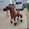 Детская деревянная лошадка-качалка
