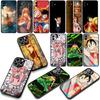 Nami One Pieces Luffy Zoro Phone Cover Case for Apple iPhone 16 15 14 Plus 13 12 Mini 17 Pro Max + 16E Air 16+ ProMax Casing