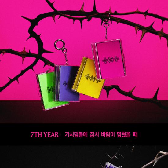 TXT Tomorrow X Together 7-й ГОД Чехол для фотокарточек The Wind Stopped Briefly in the Thorn Bush Вер. Альбом Makestar / YES24 / Benefit Weverse