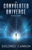 The Convoluted Universe: Book Four Book