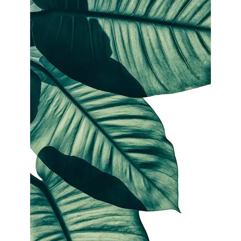 Bohemian Watercolor Tropical Plant Canvas Painting Monstera Banana Leaf Eucalyptus and Fern Art Posters Aesthetic Bedroom Decor