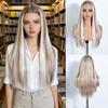 NOBLE 24 Inch13X6 Synthetic Lace Front Wig Highlight Brown White Streaks Straight Natural Hairline Heat Resistant For White Wome