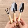 3-Piece Mini Gardening Tool Set Iron Steel Hand Trowel Transplant Spade Rake Suitable for Succulent Bonsai Indoor Plants Miniature Landscape Creation