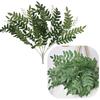 Artificial Decorative Branch Flowers Decoration Japanese Pagoda Tree Ruscus 55 cm