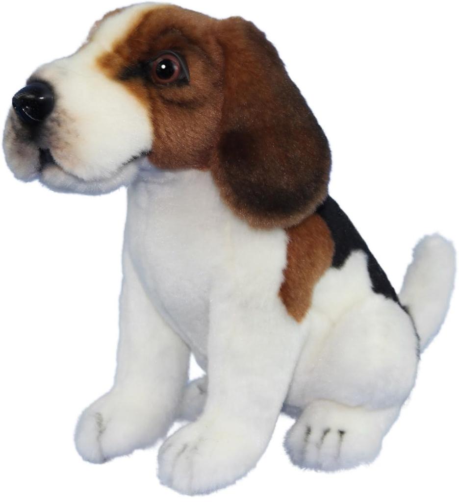 BH8420 HANSA TC Бигль 15