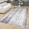 Washable Printed Carpet RVGHOME0266
