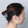 Парикмахерская Заколка для волос Акрил Акриловая заколка для волос Модная заколка для прически Женщины