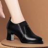 Temperament Thick Heel Soft Sole High Heel Women's Shoes New Spring Deep Mouth Single Shoes Mother Elastic Band Single Shoes