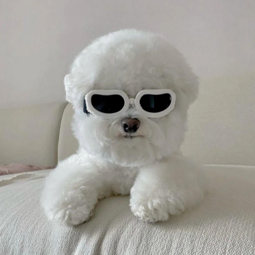Adjustable Pet Sunglasses Clear Vision Cat Glasses Pet Eye Wear Protection Photography Prop