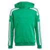 Squadra 21 Hoodie 100% Recycled Polyester Green