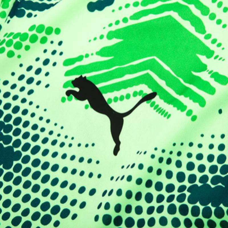 Puma Teamtarget Вратарский джемпер с длинным рукавом L S лаймовый 70651920