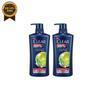 Clear Shampoo Cooling Ichi Control Shampoo 650ml X 2