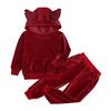 Velvet Hooded Girls Baby Boys Clothing Set Kids Jacket Coat Pants Suit For Sports Suits Tracksuits Toddler Unisex Children Clothes Set
