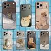 Милые животные Цепкие кошки Для iPhone 12,14,13,15,8,7,16,11,17,X,Mini,Plus,Pro,XR,SE,XS,Max,Мягкий силиконовый черный чехол