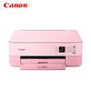 Canon Многофункциональный струйный принтер TS5380t, цветной, штепсель CN (адаптер в комплекте)
