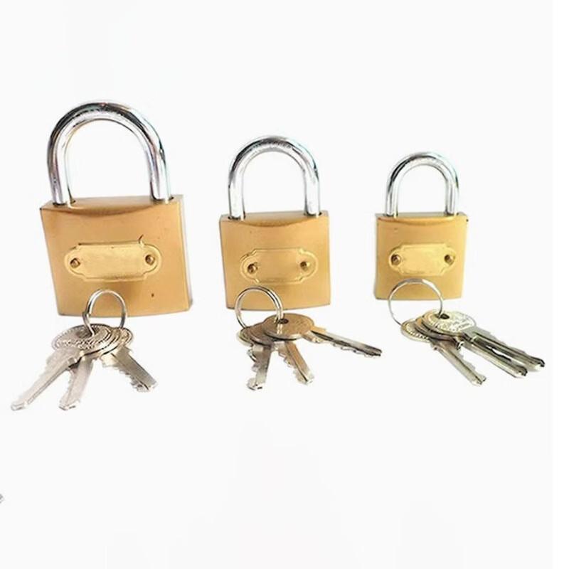 Маленькие универсальные навесные замки NuanZhiYuan (10-Pack)