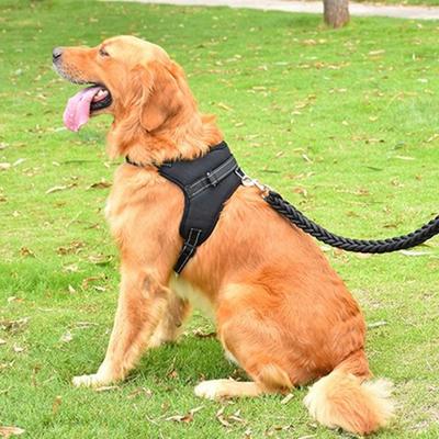 Purple Pet Puppy Большая собака Средняя собака L-образная шлейка + поводок S, 1 комплект, черный