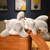 Shark Creative Cat Plush Toy Cartoon Child Sleeping Soothing Sofa Gift Pillow