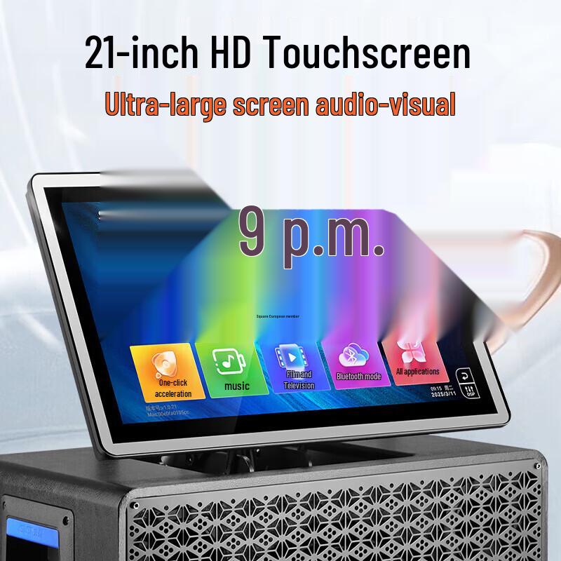 SAST Home KTV Audio System with Display and Microphone CN plug (adapter included)