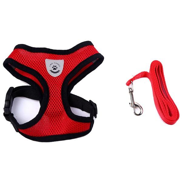 Life Point Edge Black Mesh Шлейка + поводок для собаки, S, Красный, 1 комплект
