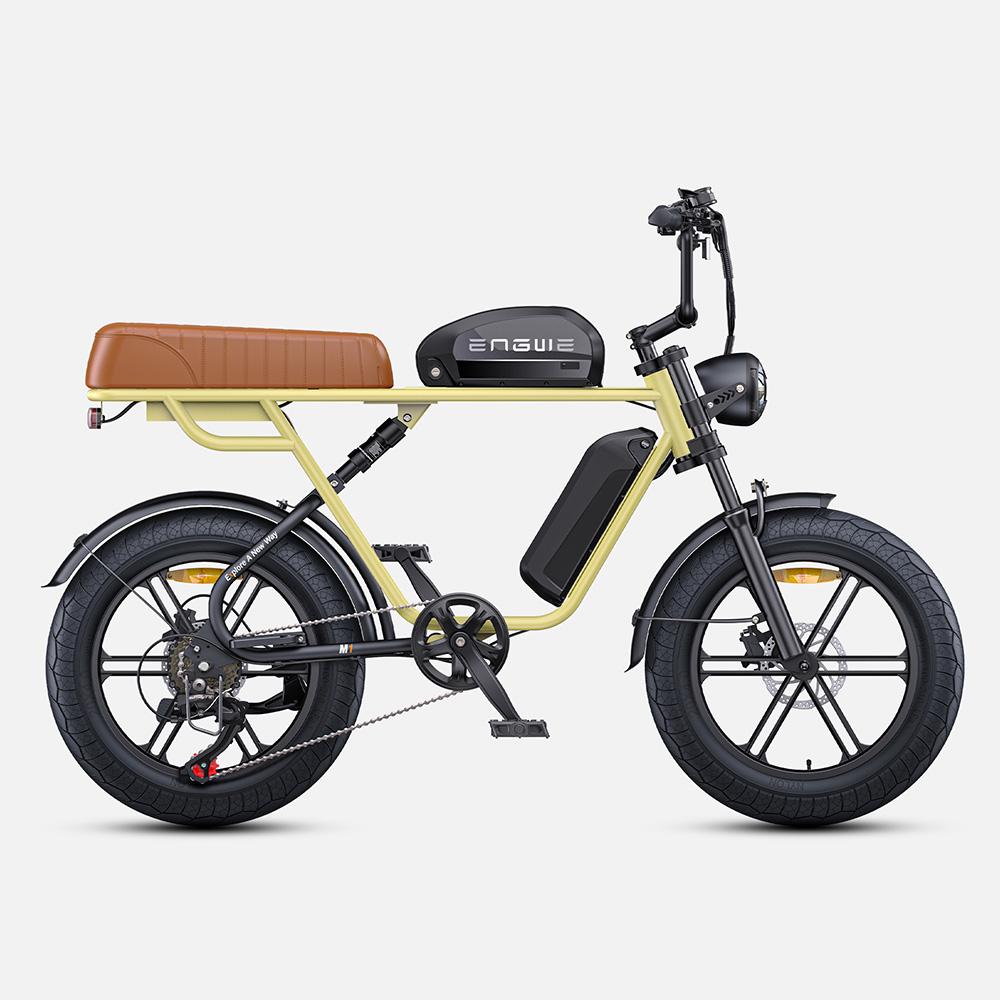 ENGWE M1 Electric Bicycle 250W Motor 48V28.6AH Dual Battery Hydraulic Brake Electric Bike 20*4.0-In Fat Tire All Terrain E-bike