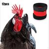 12 Pieces Chicken Anti Crow For Poultry