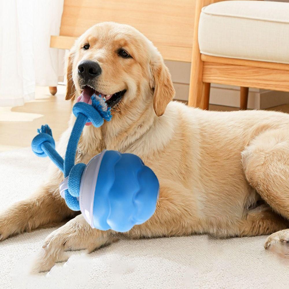 Автоматический прыгающий электрический мяч-игрушка для собак, устойчивый к укусам, интерактивный мяч для собак, для маленьких/средних собак