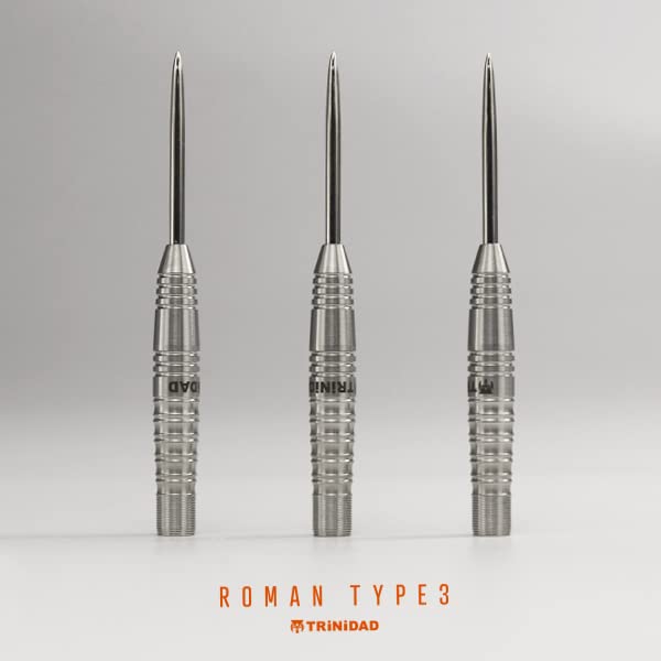 TRiNiDAD PRO Roman3 Steel Trinidad Pro Roman3 Steel Модель игрока Мию Мияваки Стальной дартс баррель Серебристый tdd1064