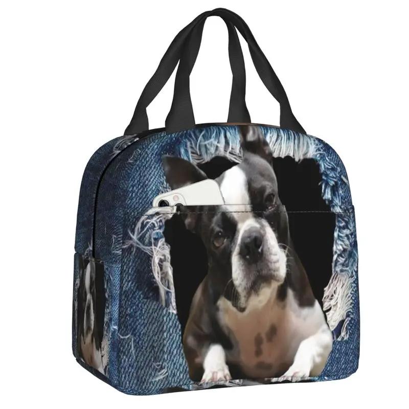 Бостонские терьеры любят хозяек, собак, портативные ланч-боксы, герметичные охладители, термосумки для еды, школьные дети